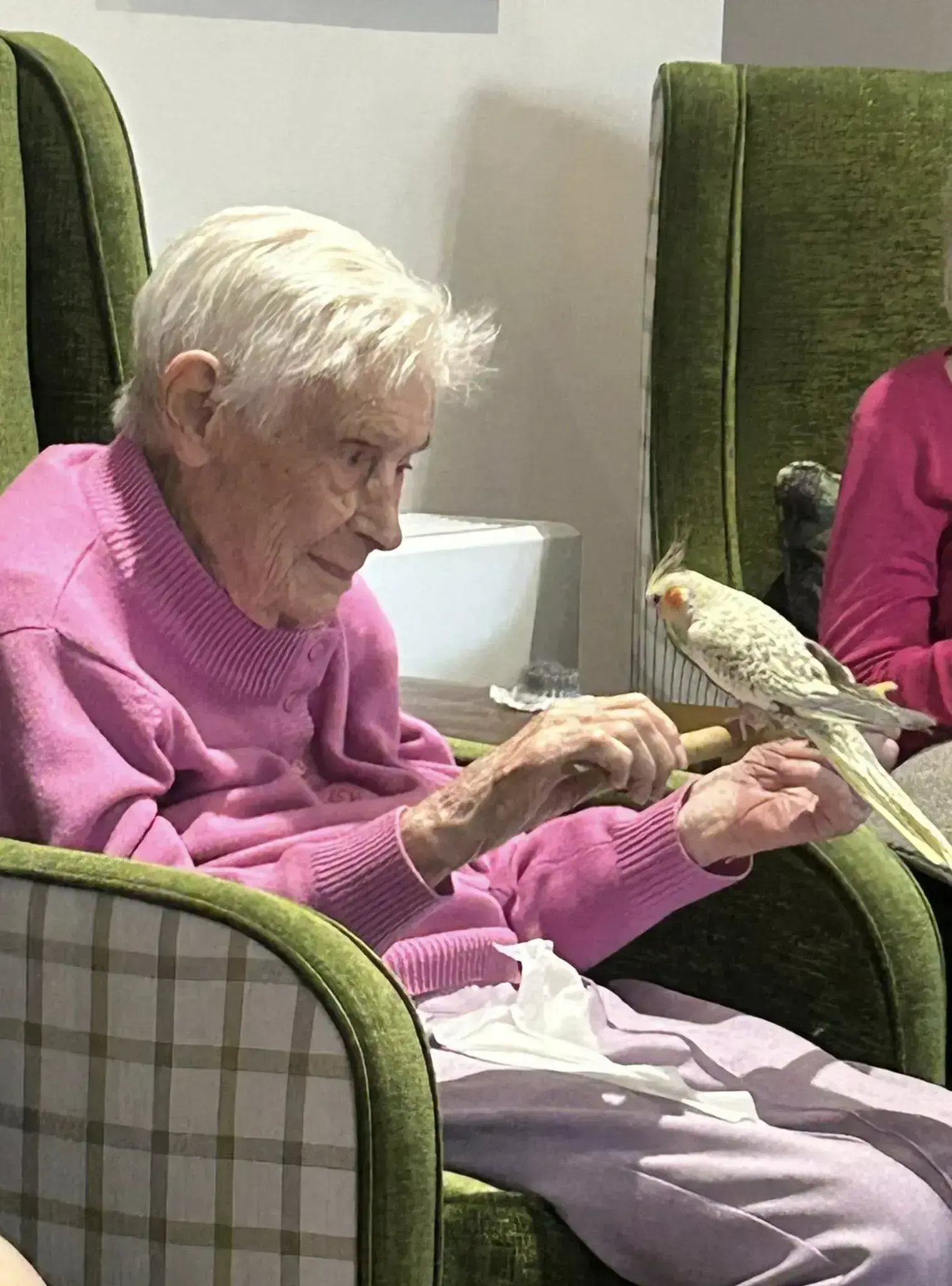 September Pet Therapy