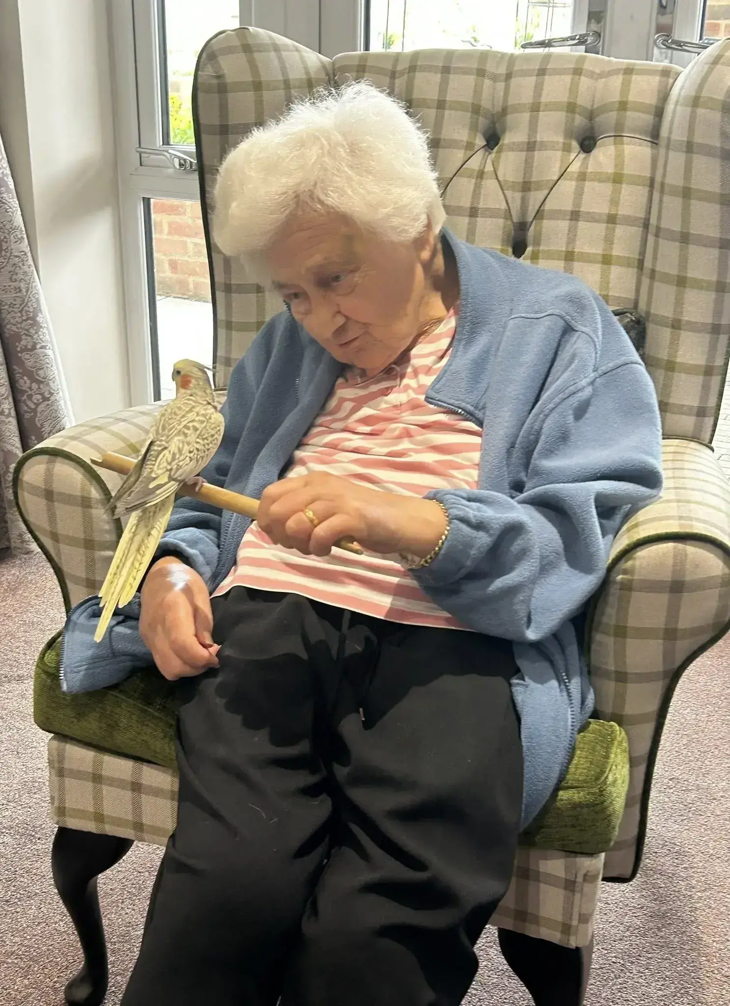 September Pet Therapy