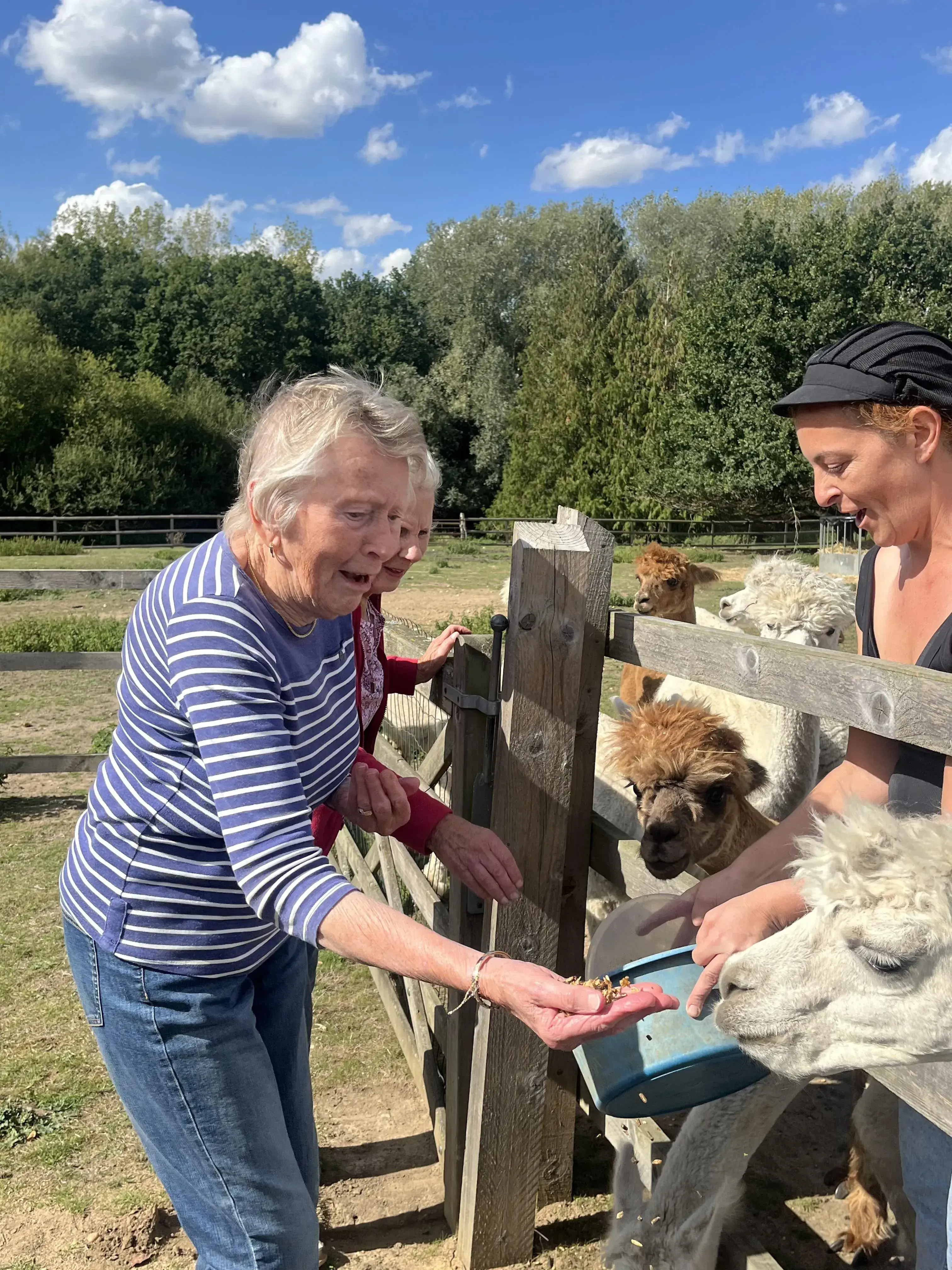 Fun at Blackbrook Farm 