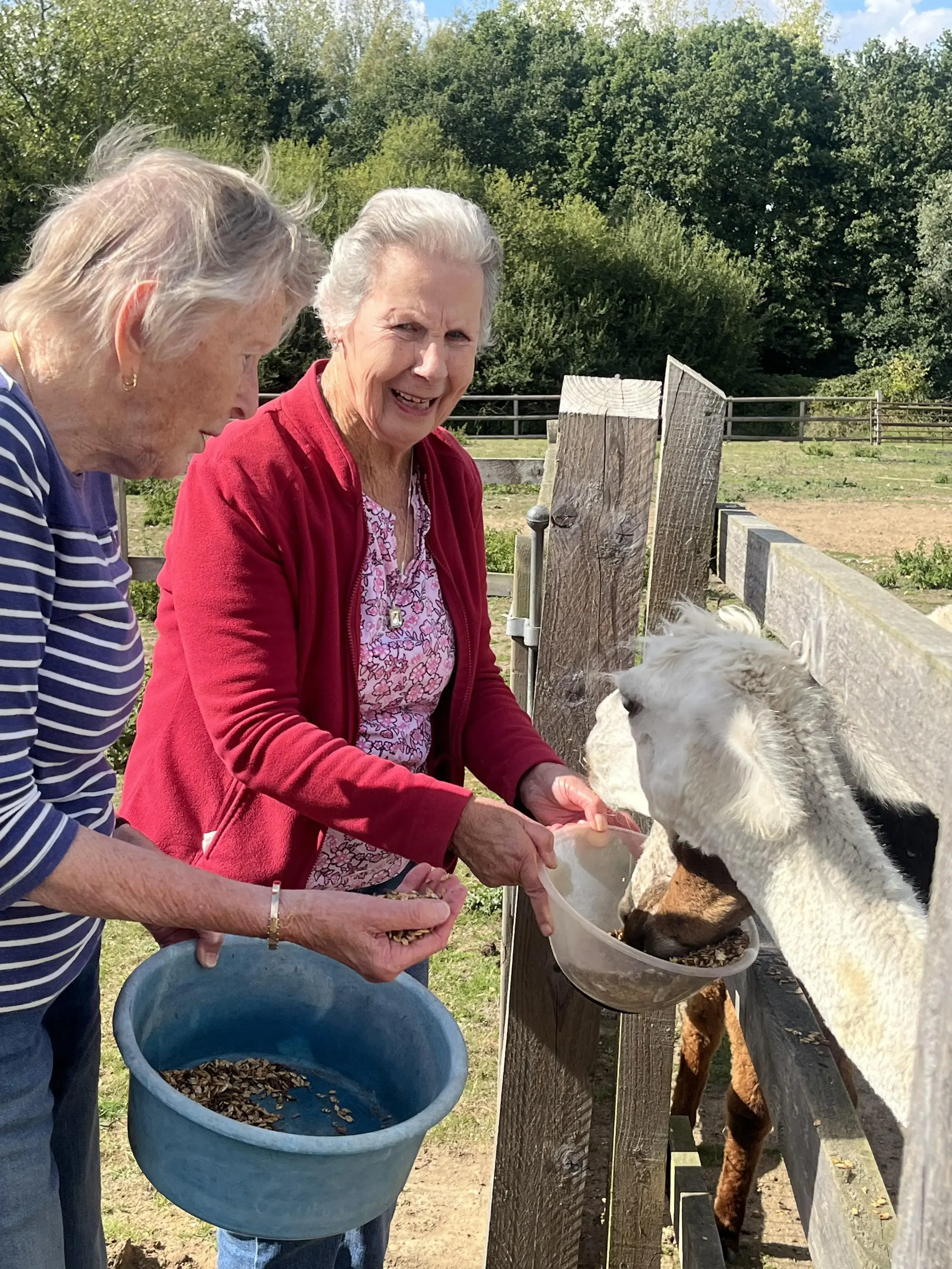 Fun at Blackbrook Farm 
