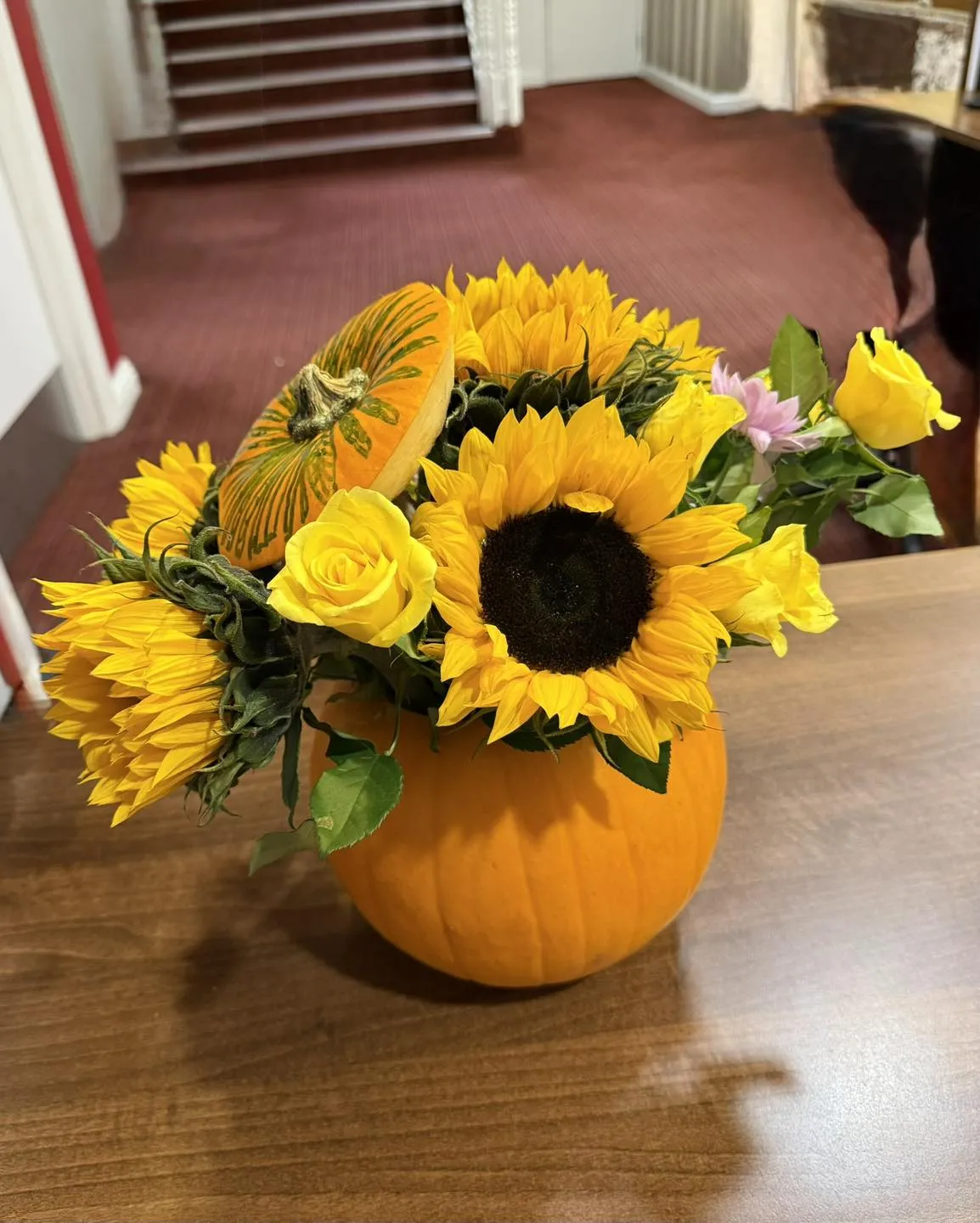 Harvest Joy at Kenwyn