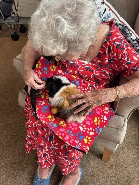 Animal Therapy