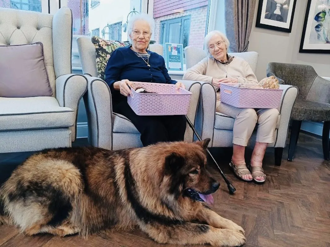 Pet Therapy