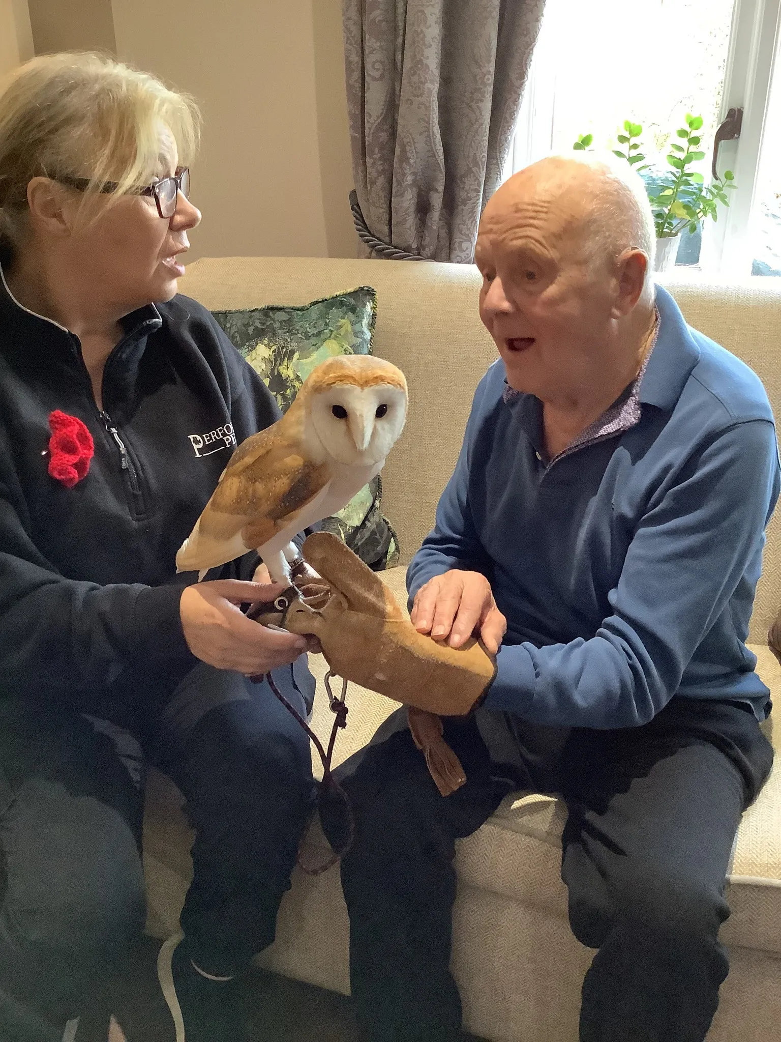What a Hoot