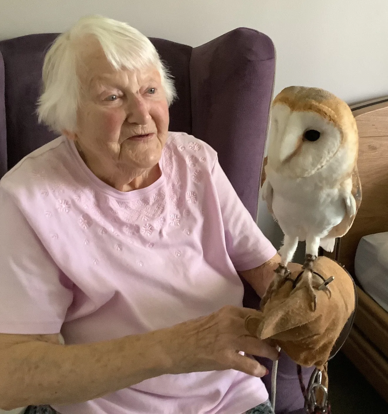 What a Hoot