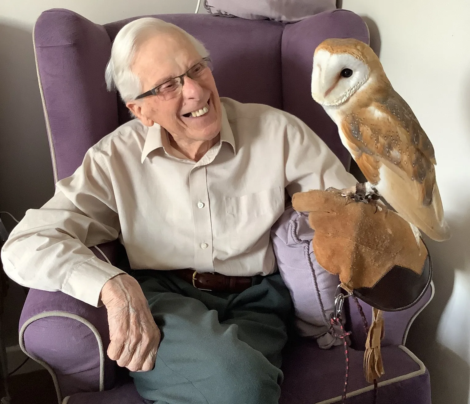 What a Hoot