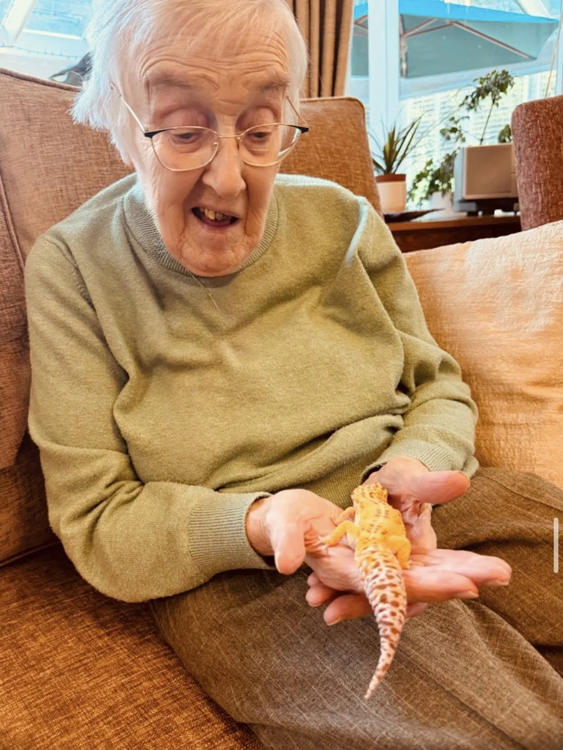 Pet Therapy