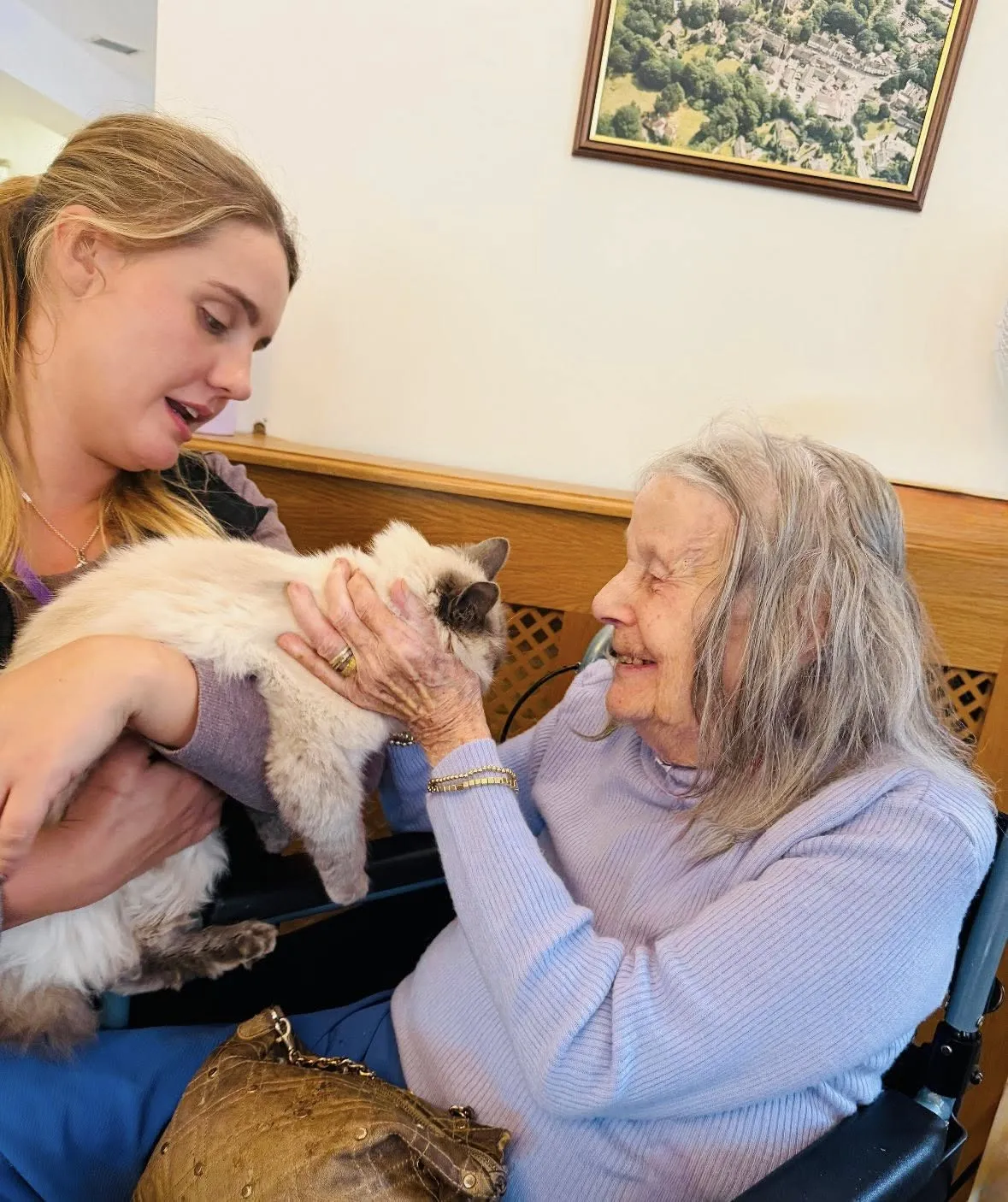 Pet Therapy