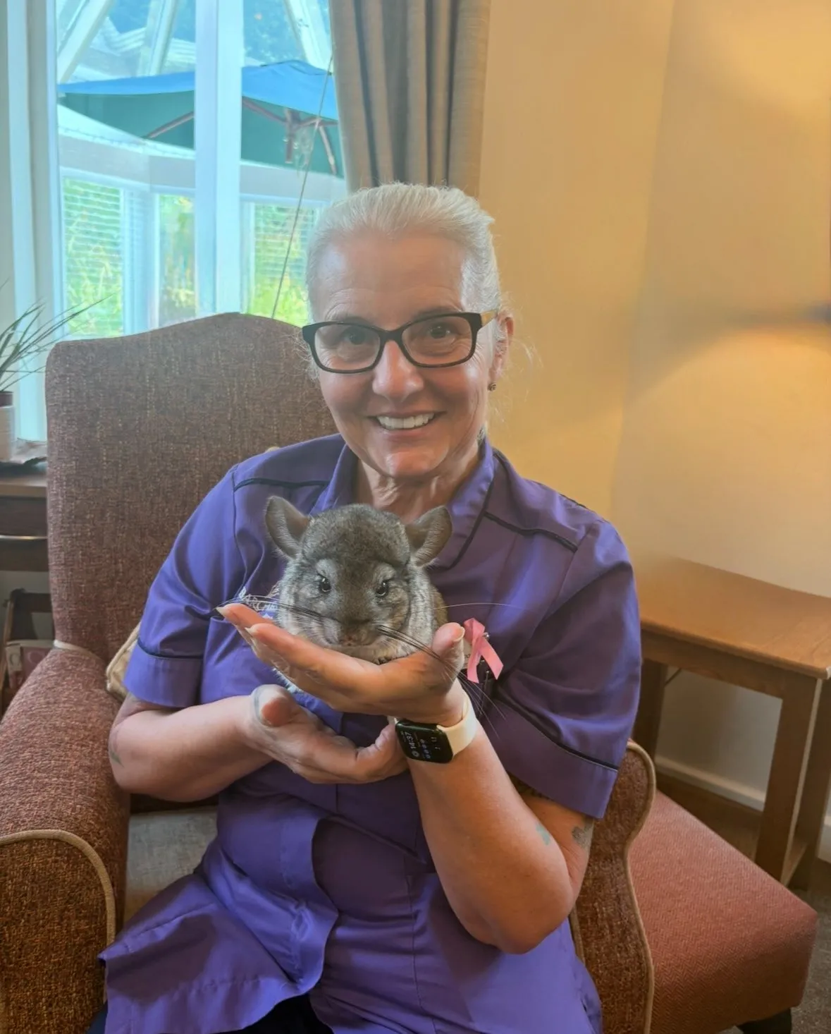 Pet Therapy