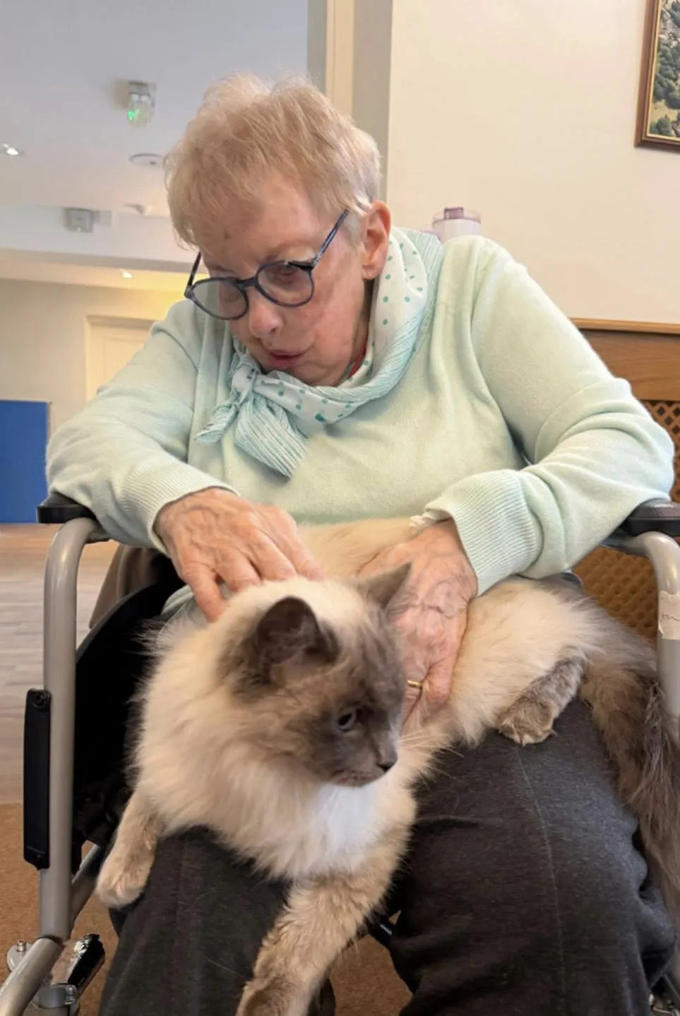 Pet Therapy