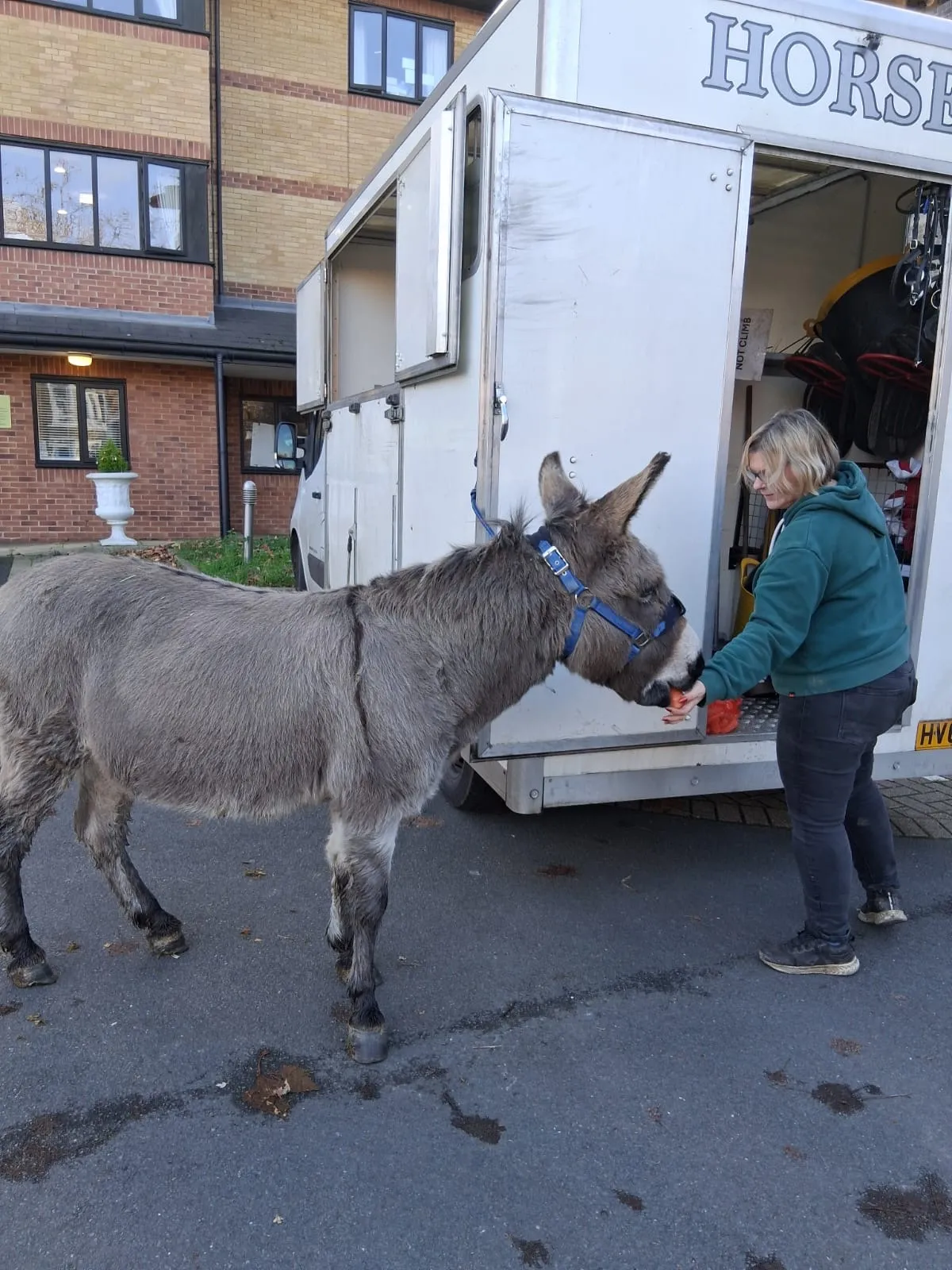 Edna the Donkey