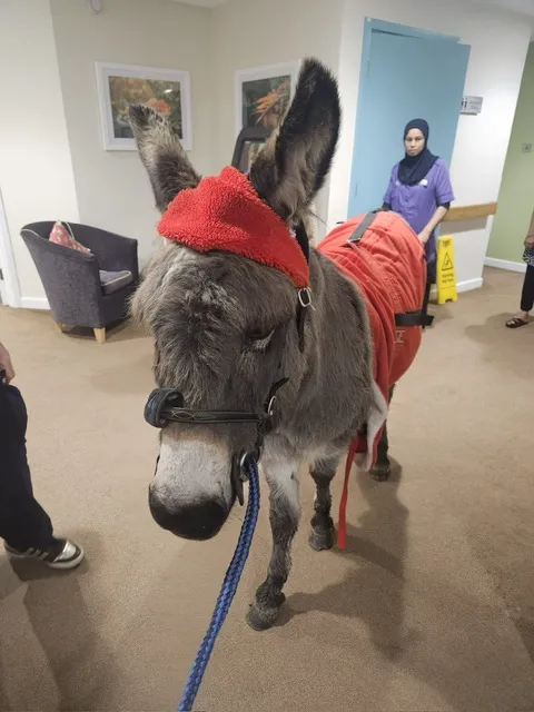 Edna the Donkey