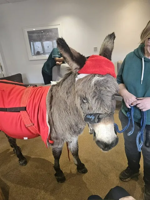 Edna the Donkey