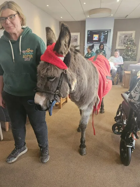 Edna the Donkey