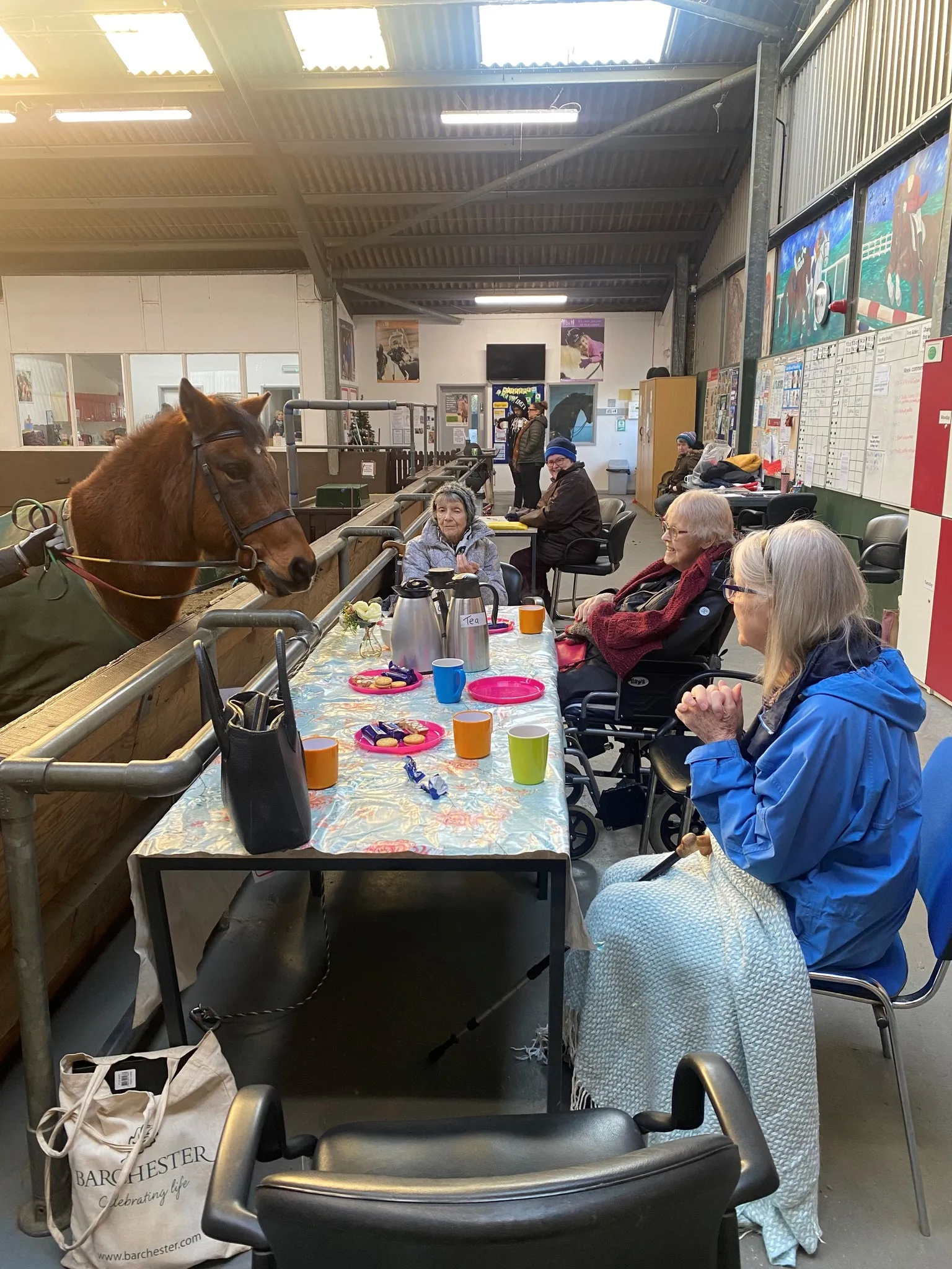 Badgeworth Court has Tea with a horse