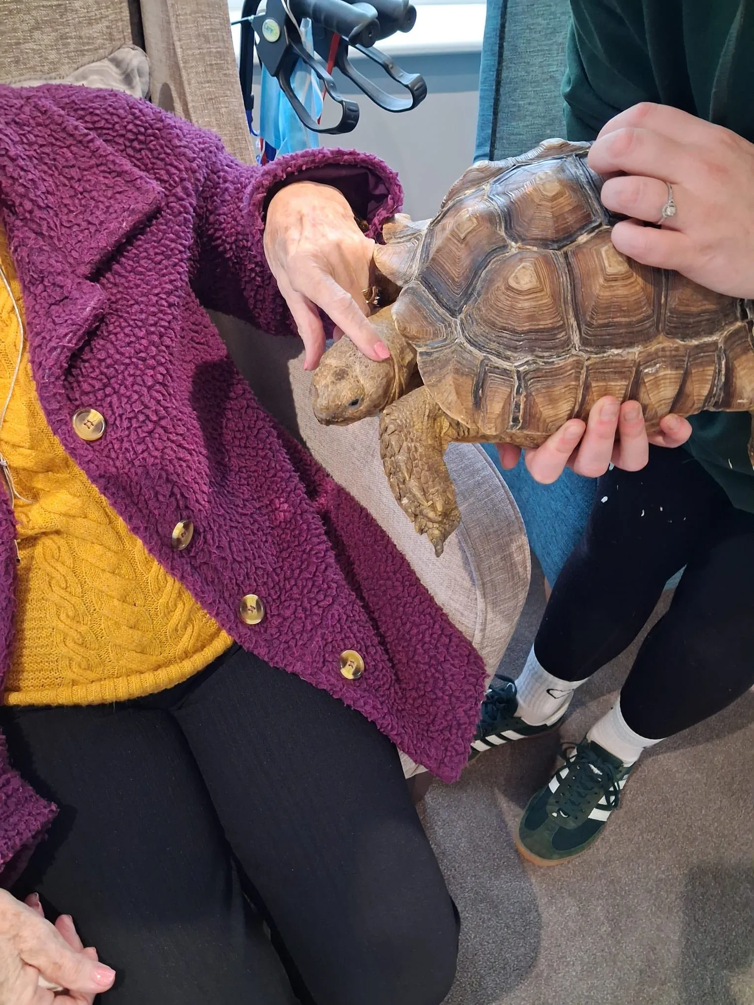 ZooLab Visits Kingswood Court