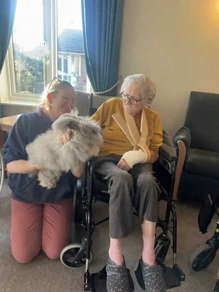 Animals visit residents