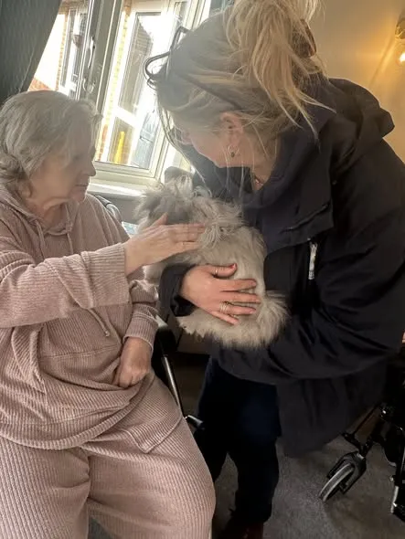 Animals visit residents
