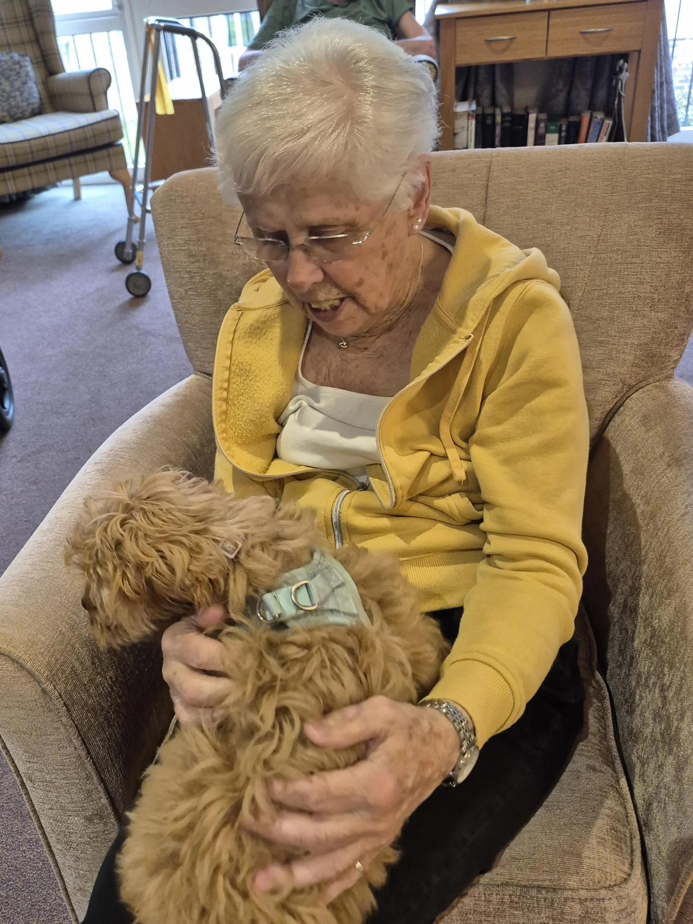 Pet therapy 