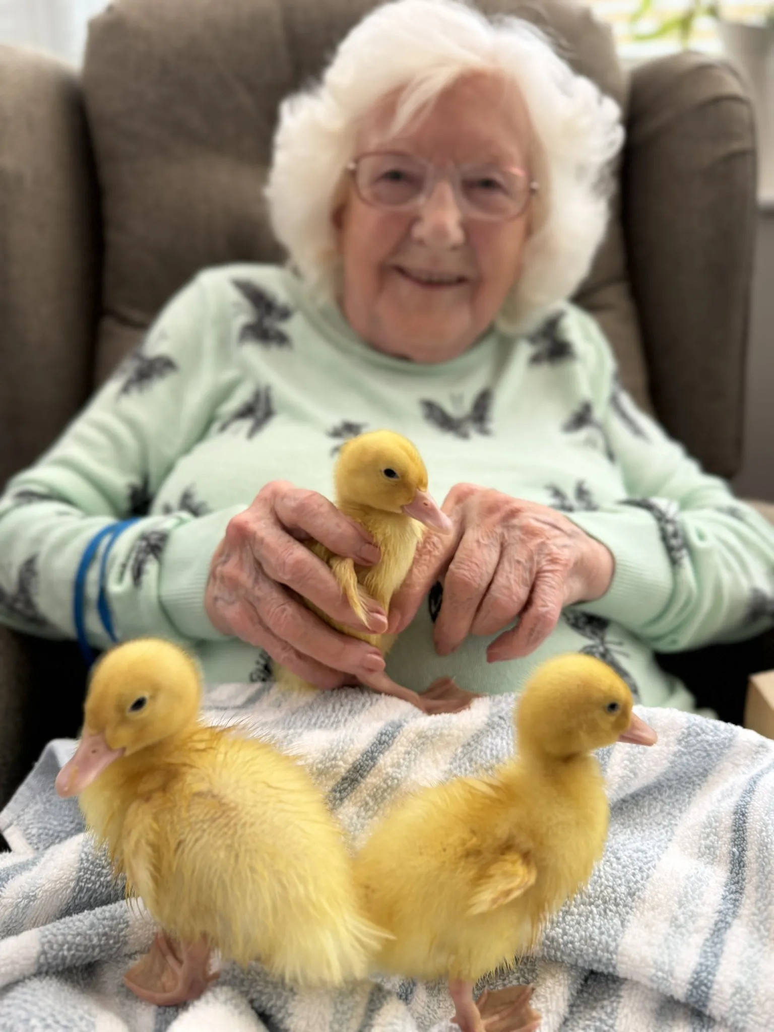 Ashcombe House Welcomes Five Little Ducklings