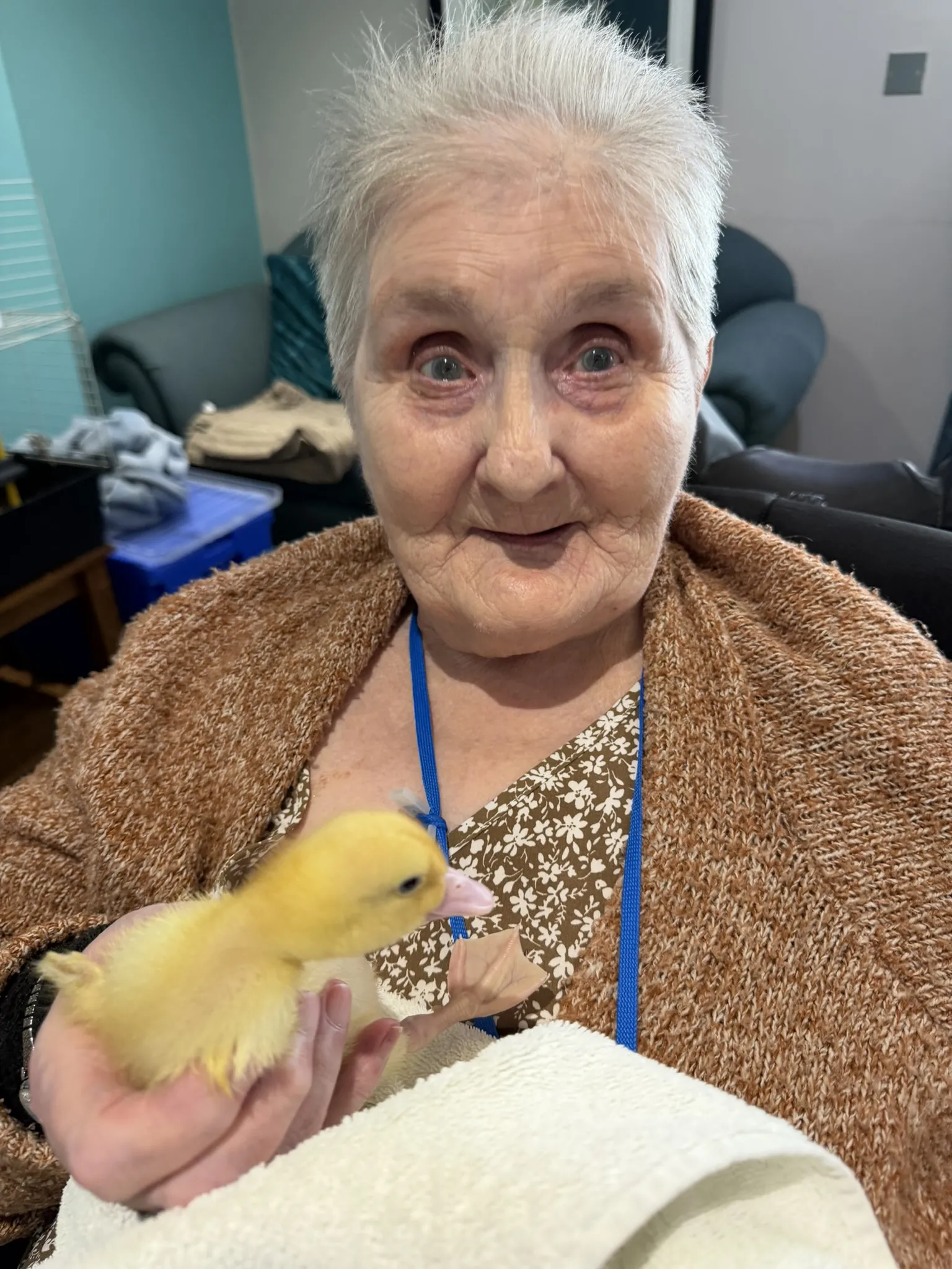 Ashcombe House Welcomes Five Little Ducklings