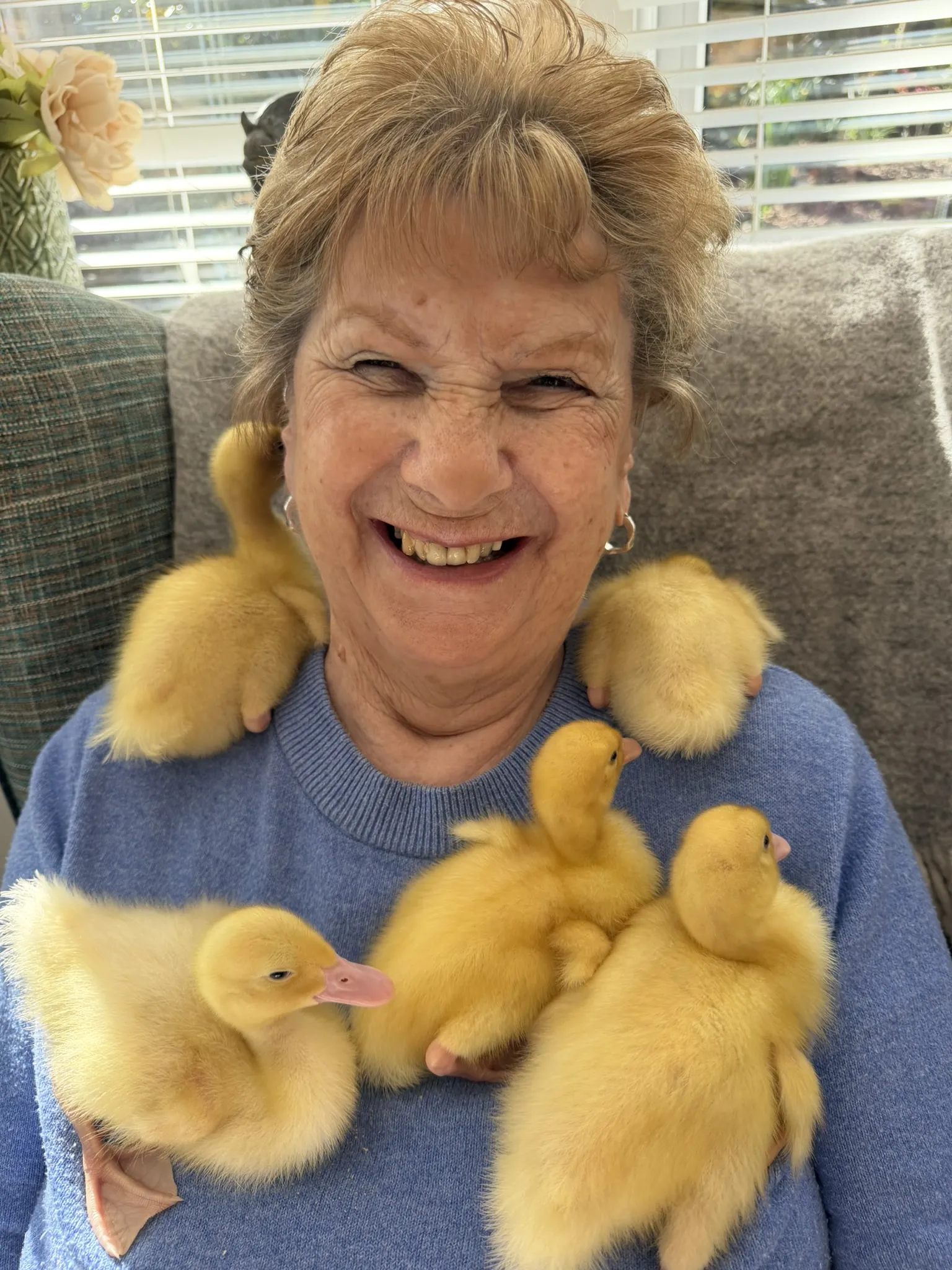 Ashcombe House Welcomes Five Little Ducklings