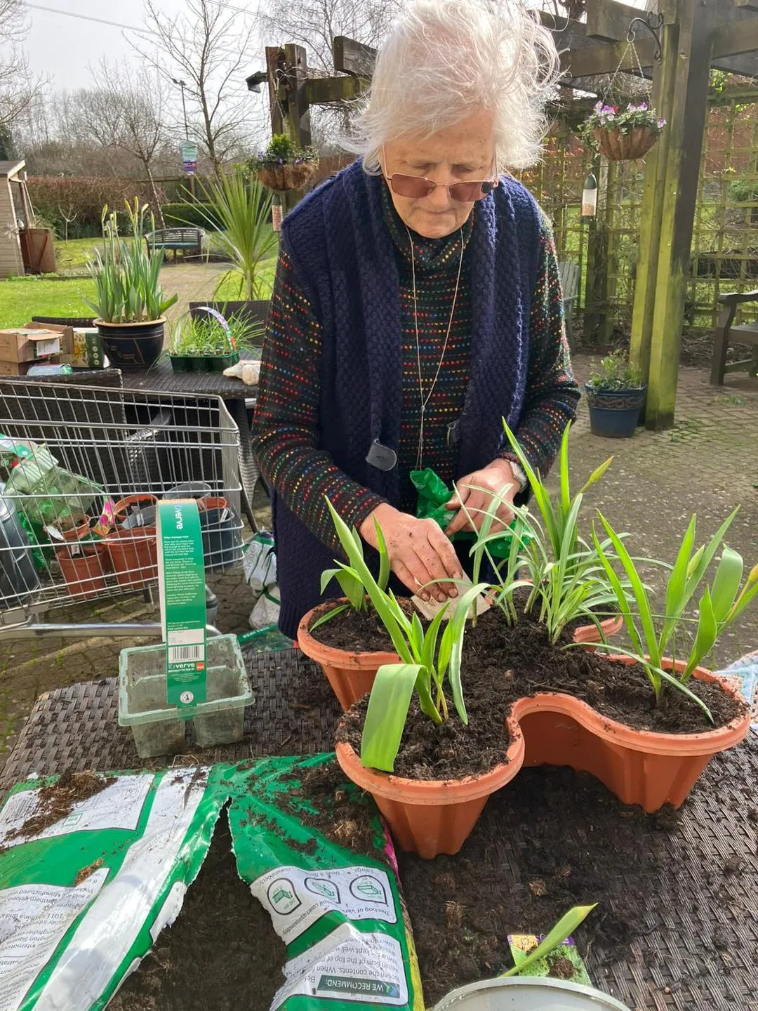 Spring Gardening