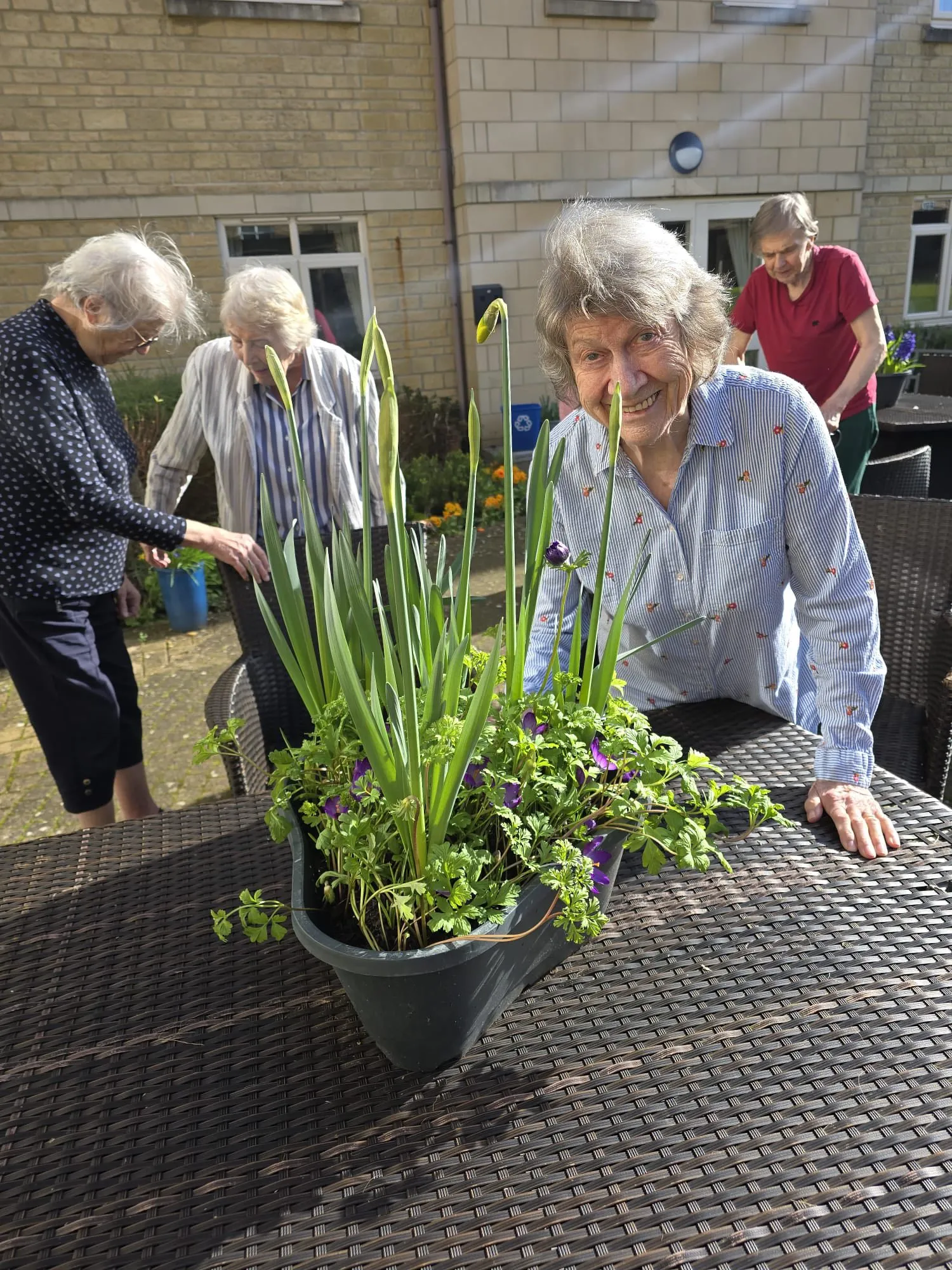 Spring Gardening