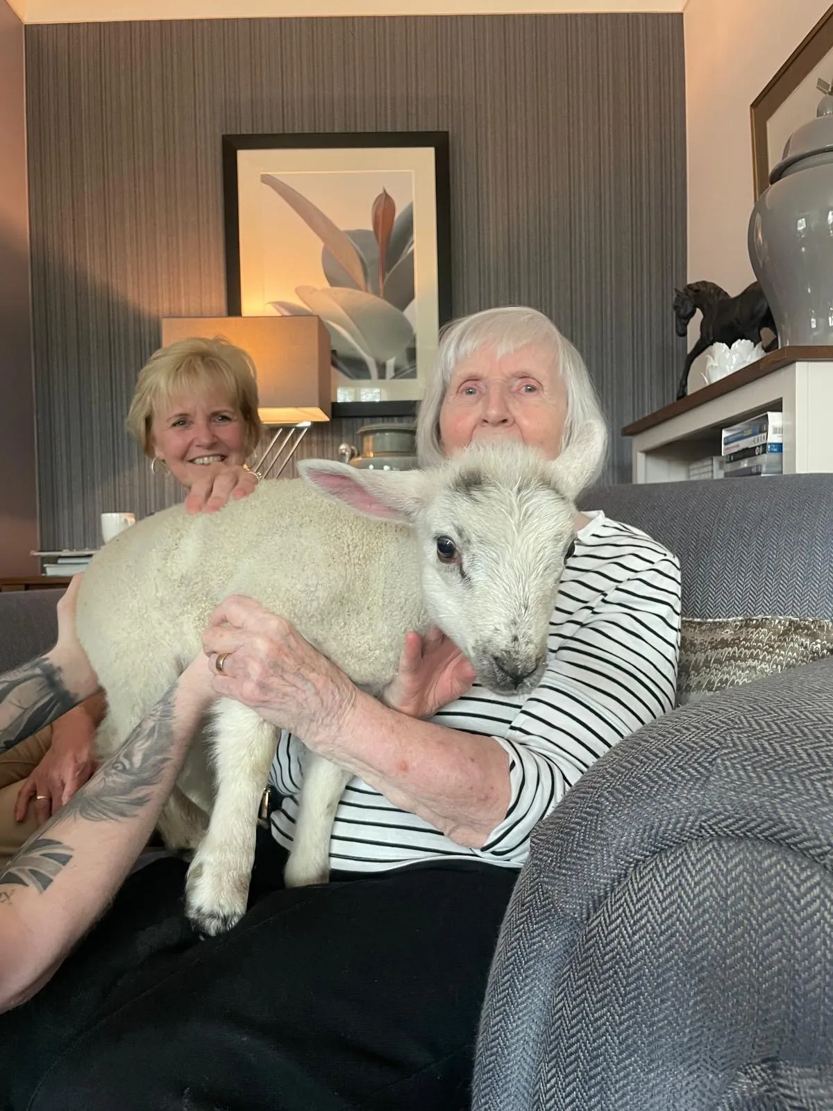 Lambs on the Loose!