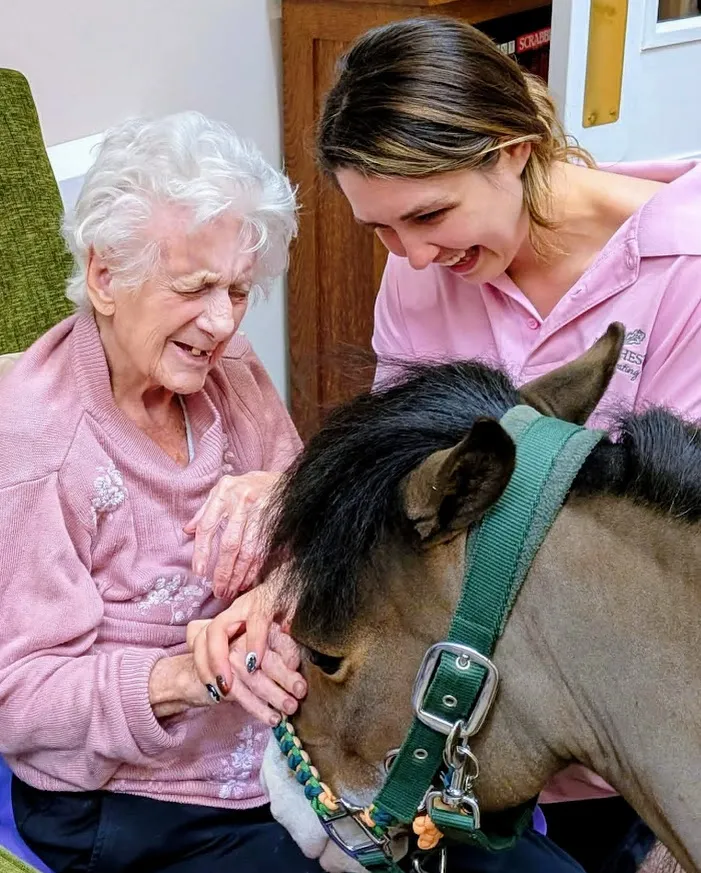 Darwin the Pony