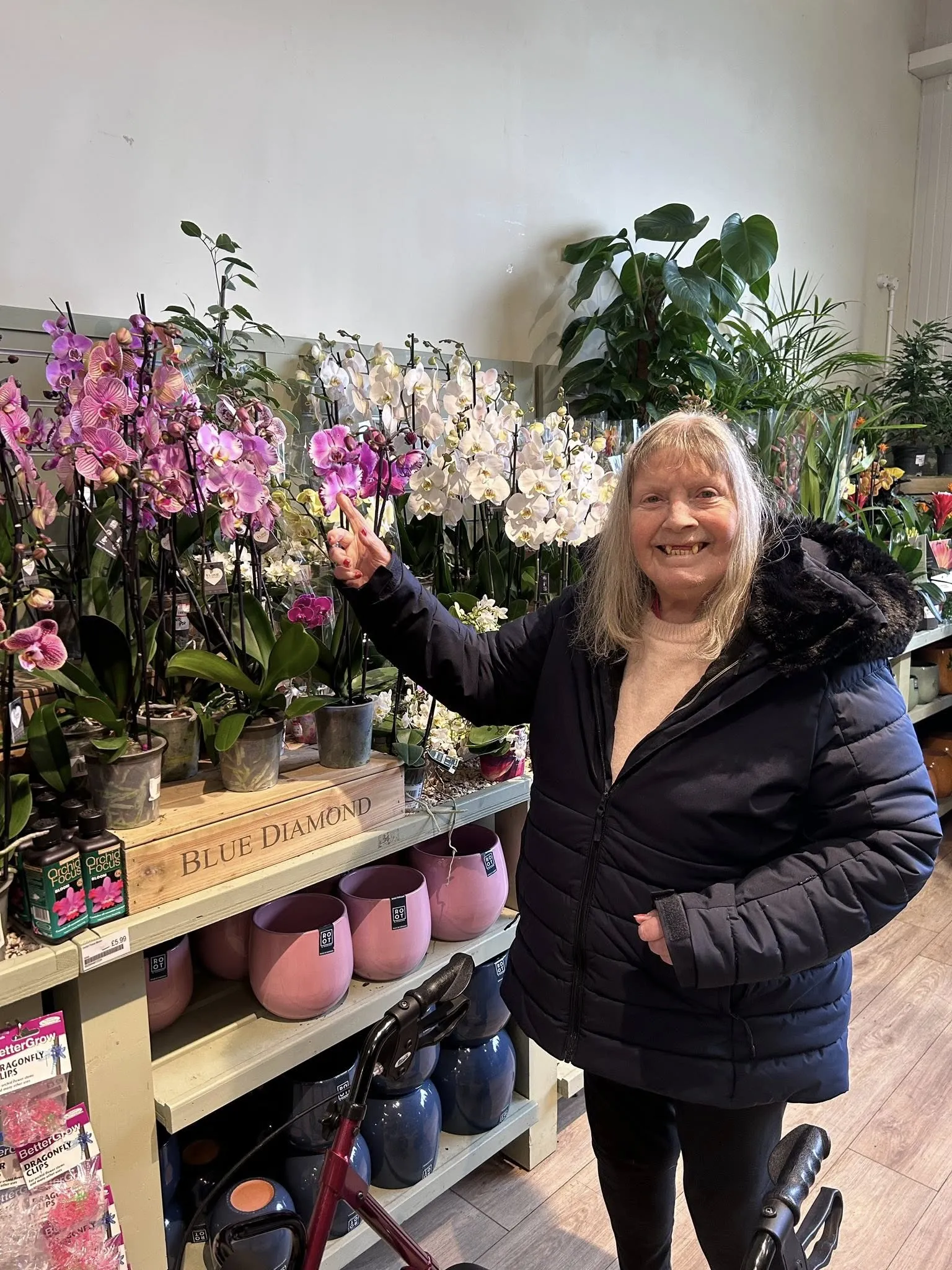 Fosseway Garden Centre 