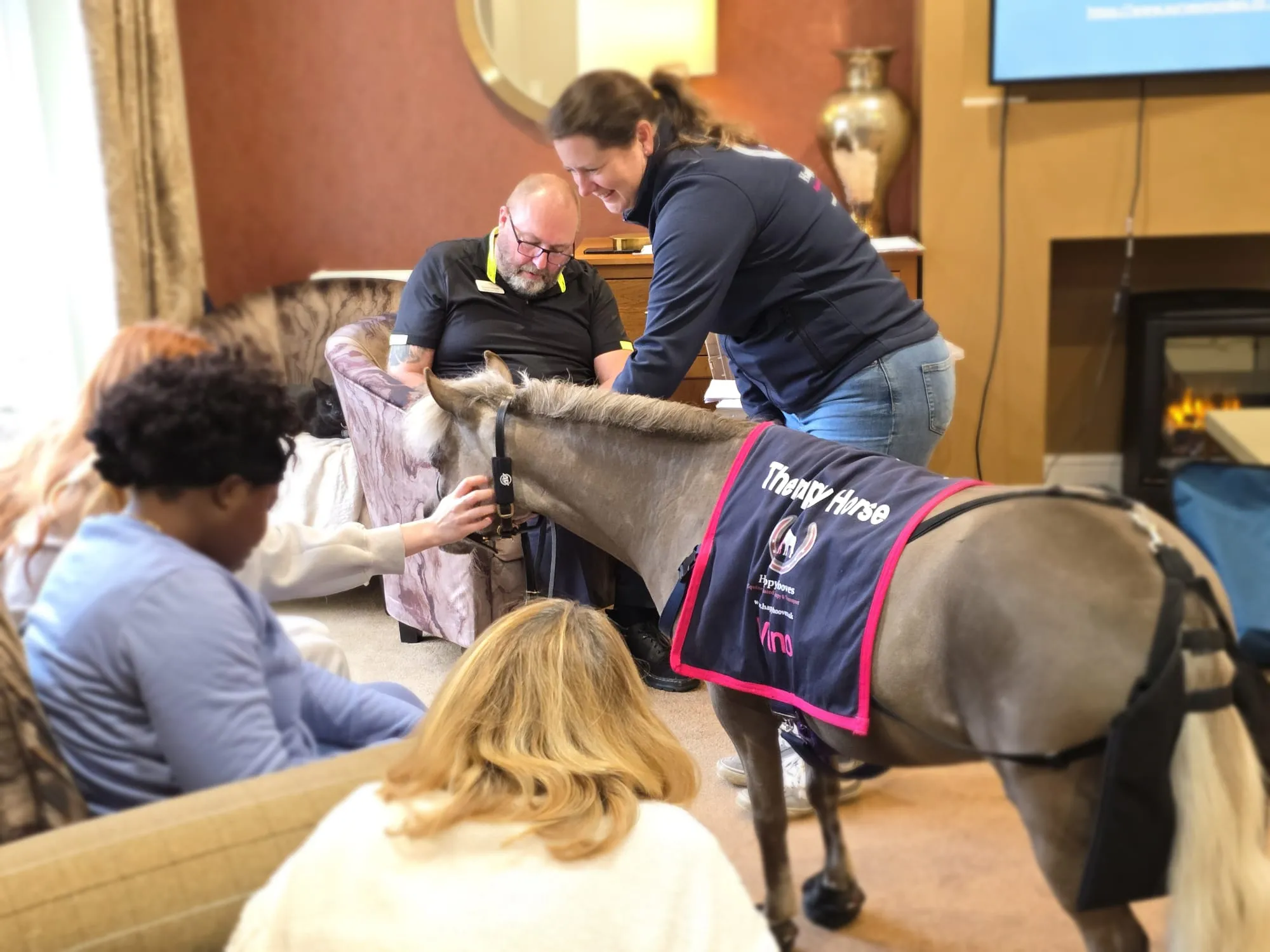 Minature Therapy Horse 'Vino' 