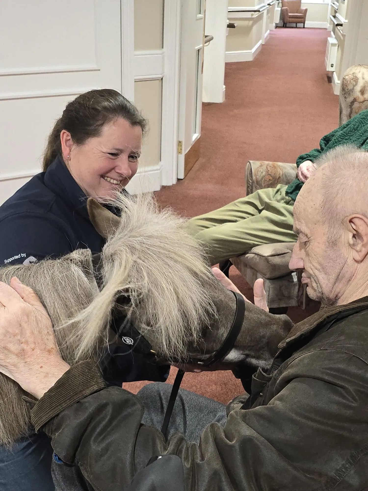 Minature Therapy Horse 'Vino' 