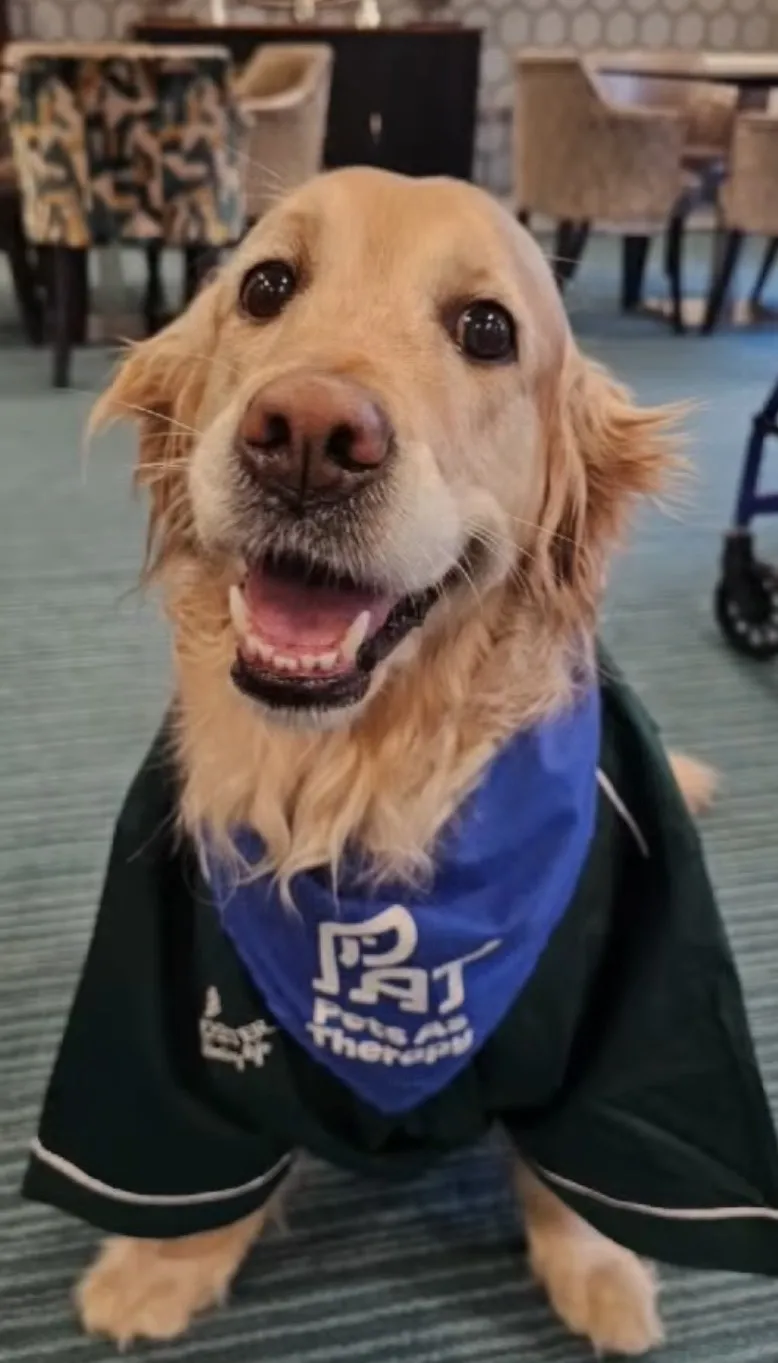 Our beloved PAT dog Isla!