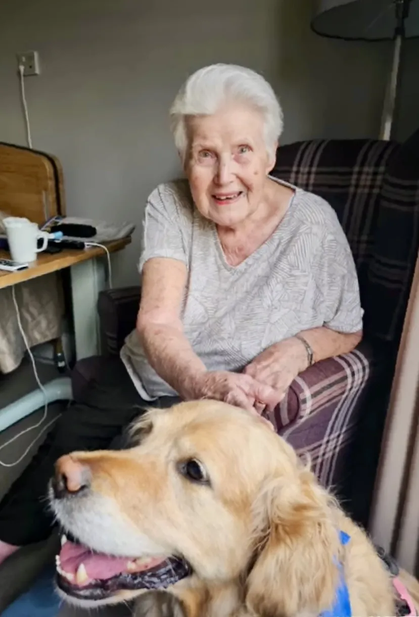 Our beloved PAT dog Isla!