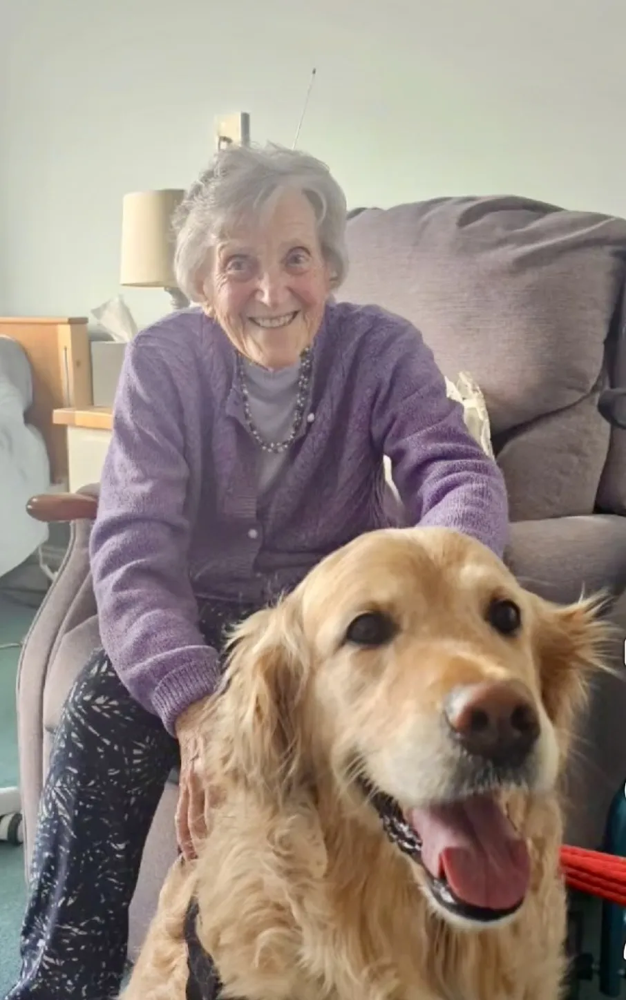 Our beloved PAT dog Isla!