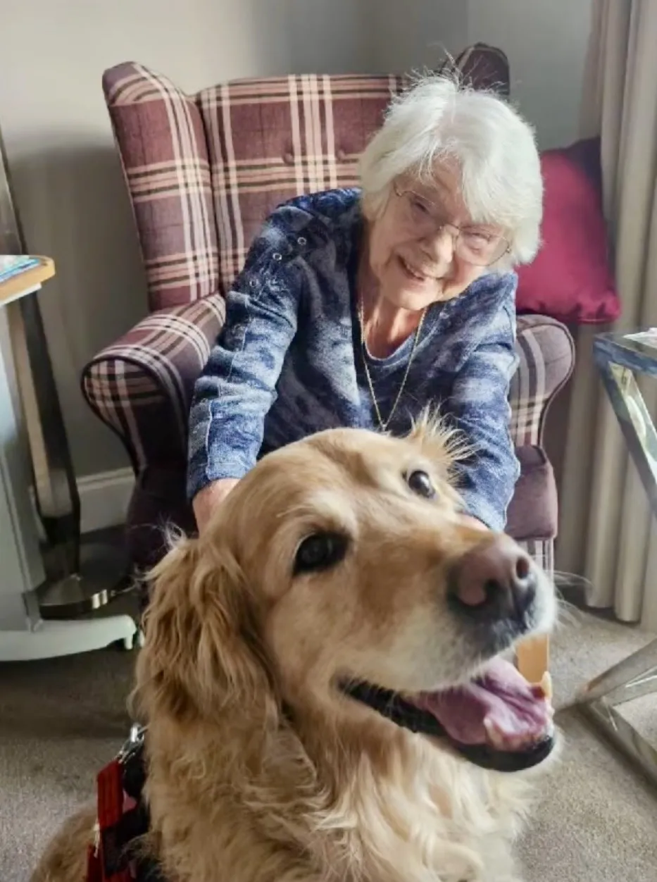 Our beloved PAT dog Isla!