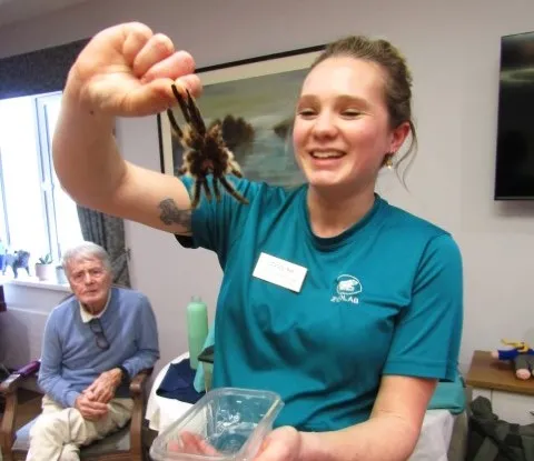 Zoo Lab