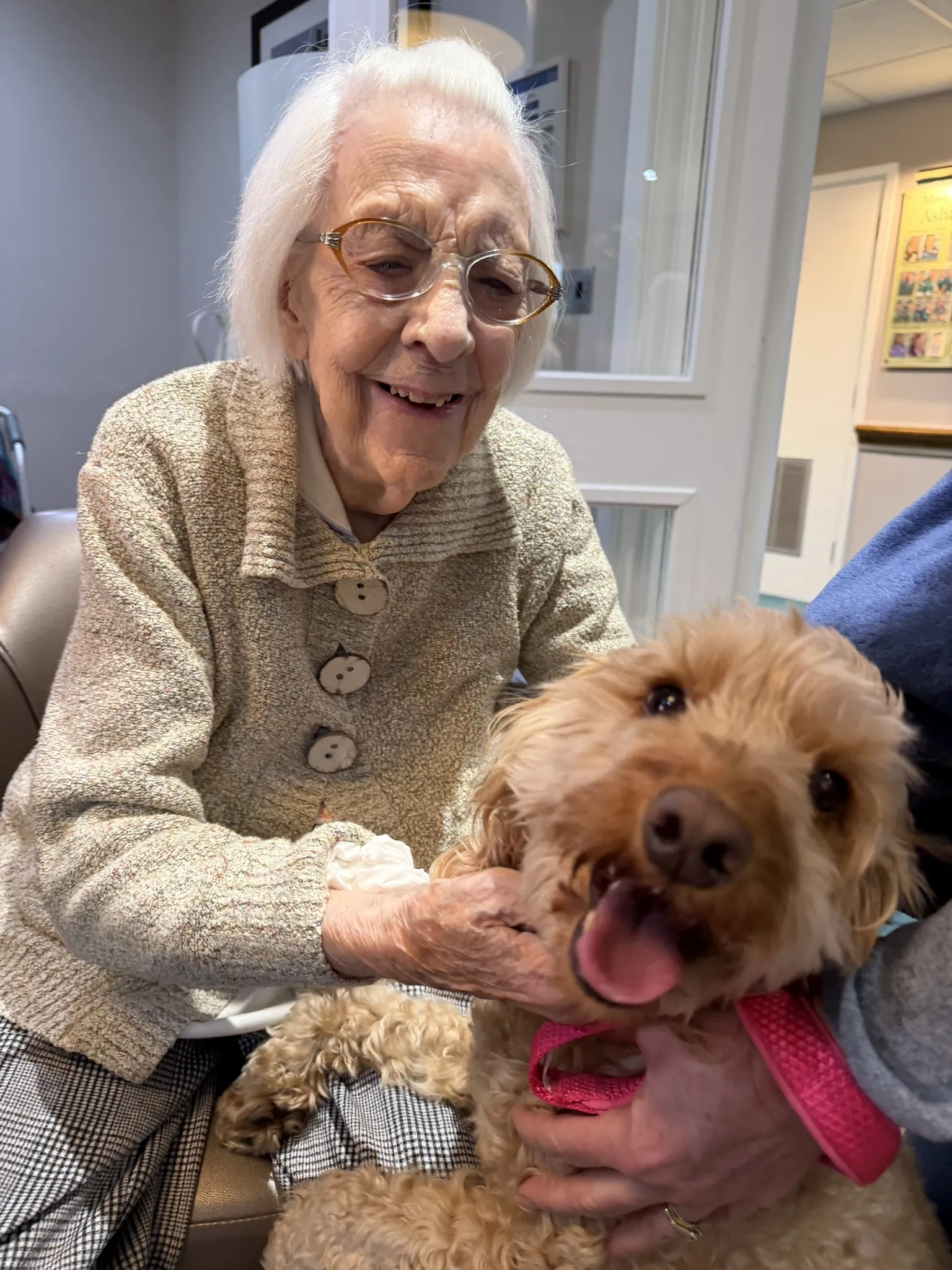 PAT Dog Tilly
