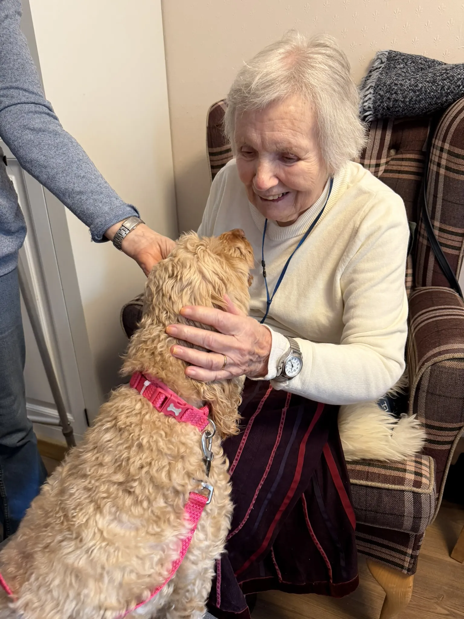 PAT Dog Tilly