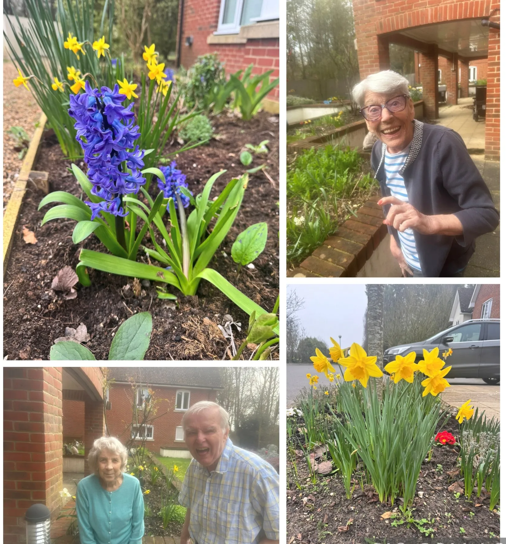 Spring arrives at Rothsay Grange 