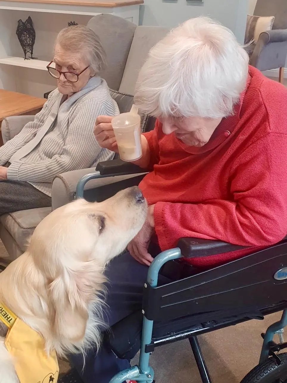  Paws, Pre-schoolers, and Portraits: A Wonderful Week at Brampton View!