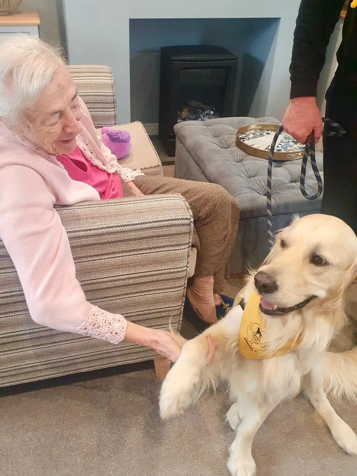  Paws, Pre-schoolers, and Portraits: A Wonderful Week at Brampton View!