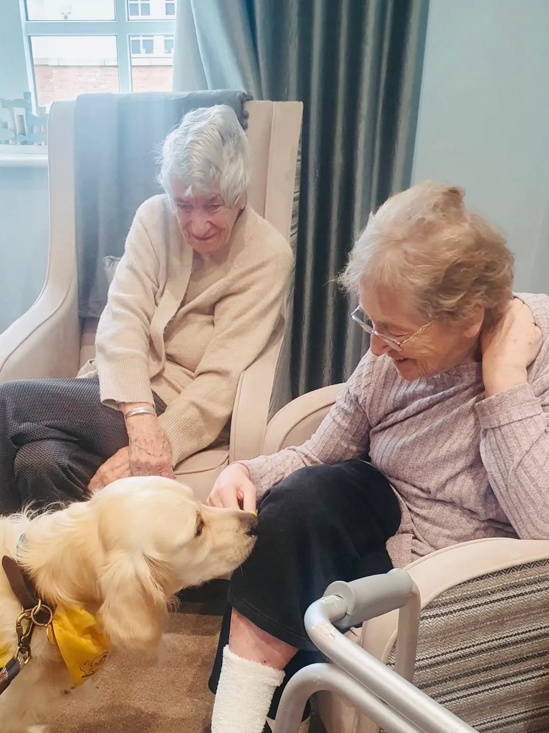  Paws, Pre-schoolers, and Portraits: A Wonderful Week at Brampton View!