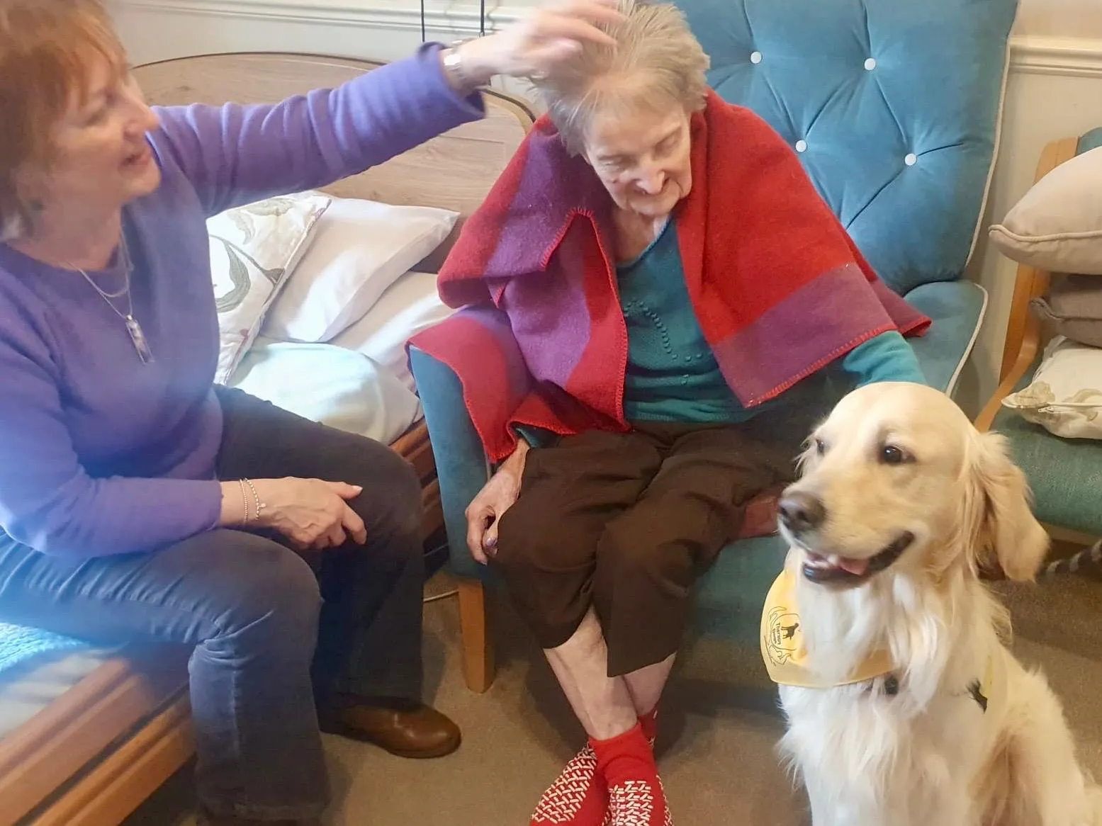  Paws, Pre-schoolers, and Portraits: A Wonderful Week at Brampton View!