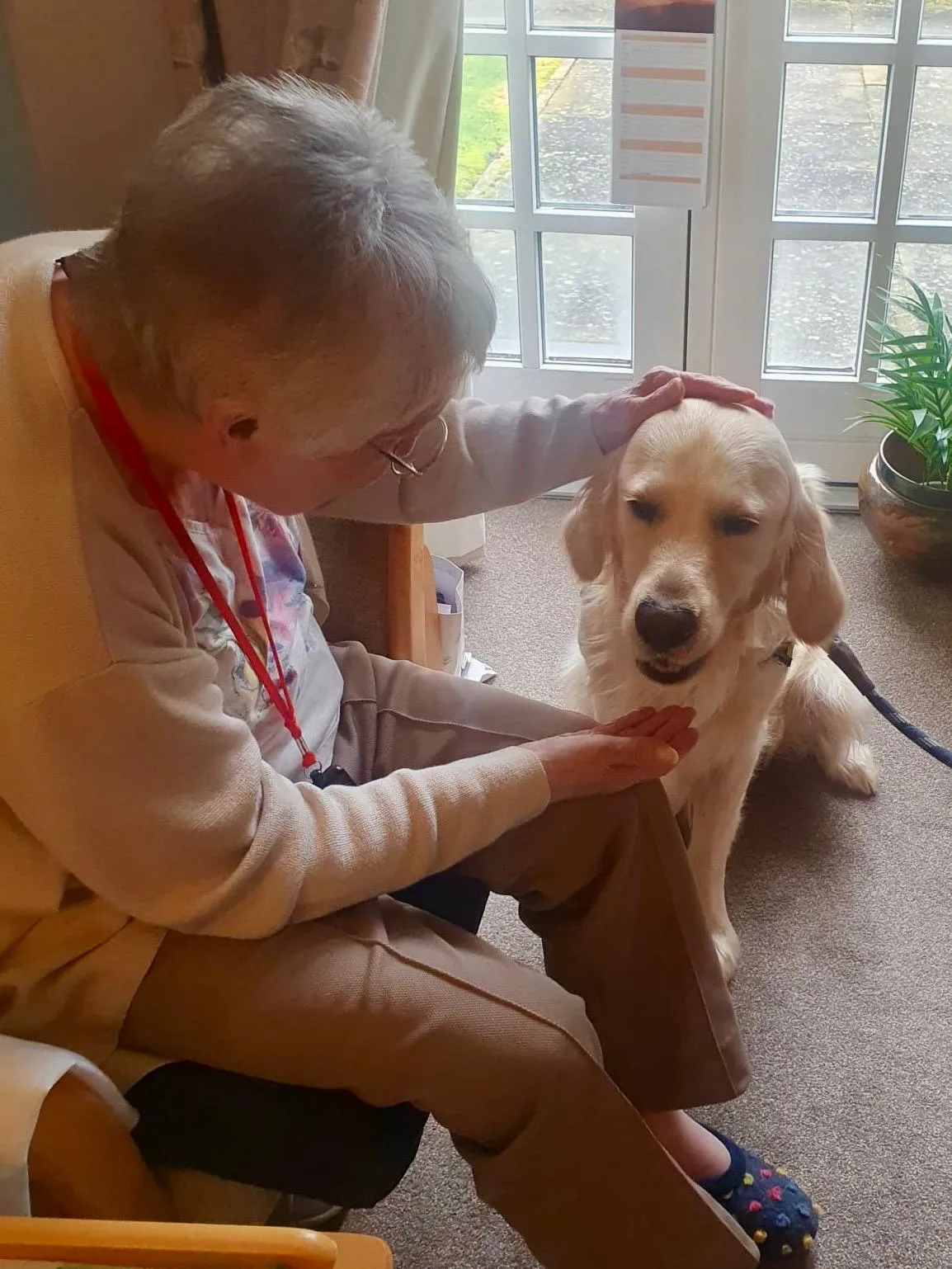  Paws, Pre-schoolers, and Portraits: A Wonderful Week at Brampton View!