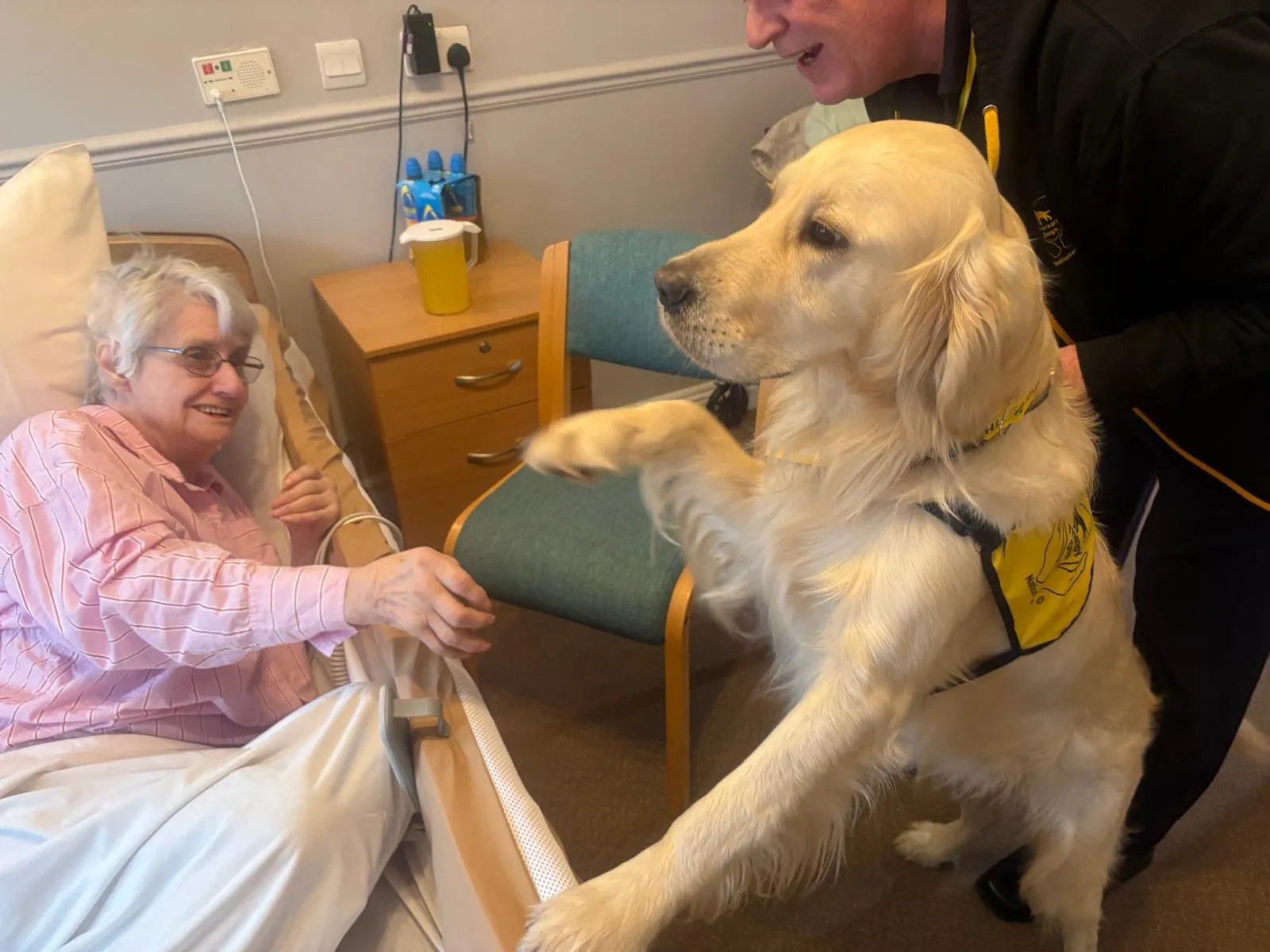  Paws, Pre-schoolers, and Portraits: A Wonderful Week at Brampton View!