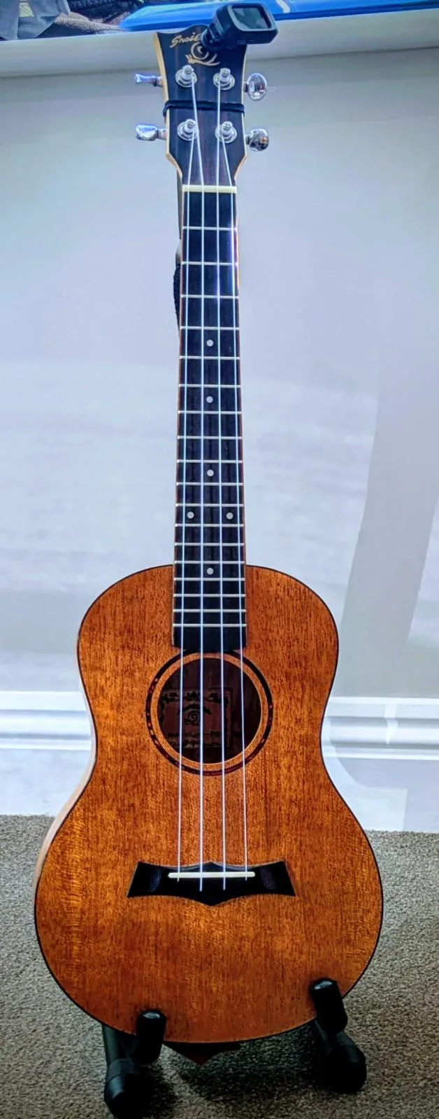 Ukes Aloud Brings Joy to the Home