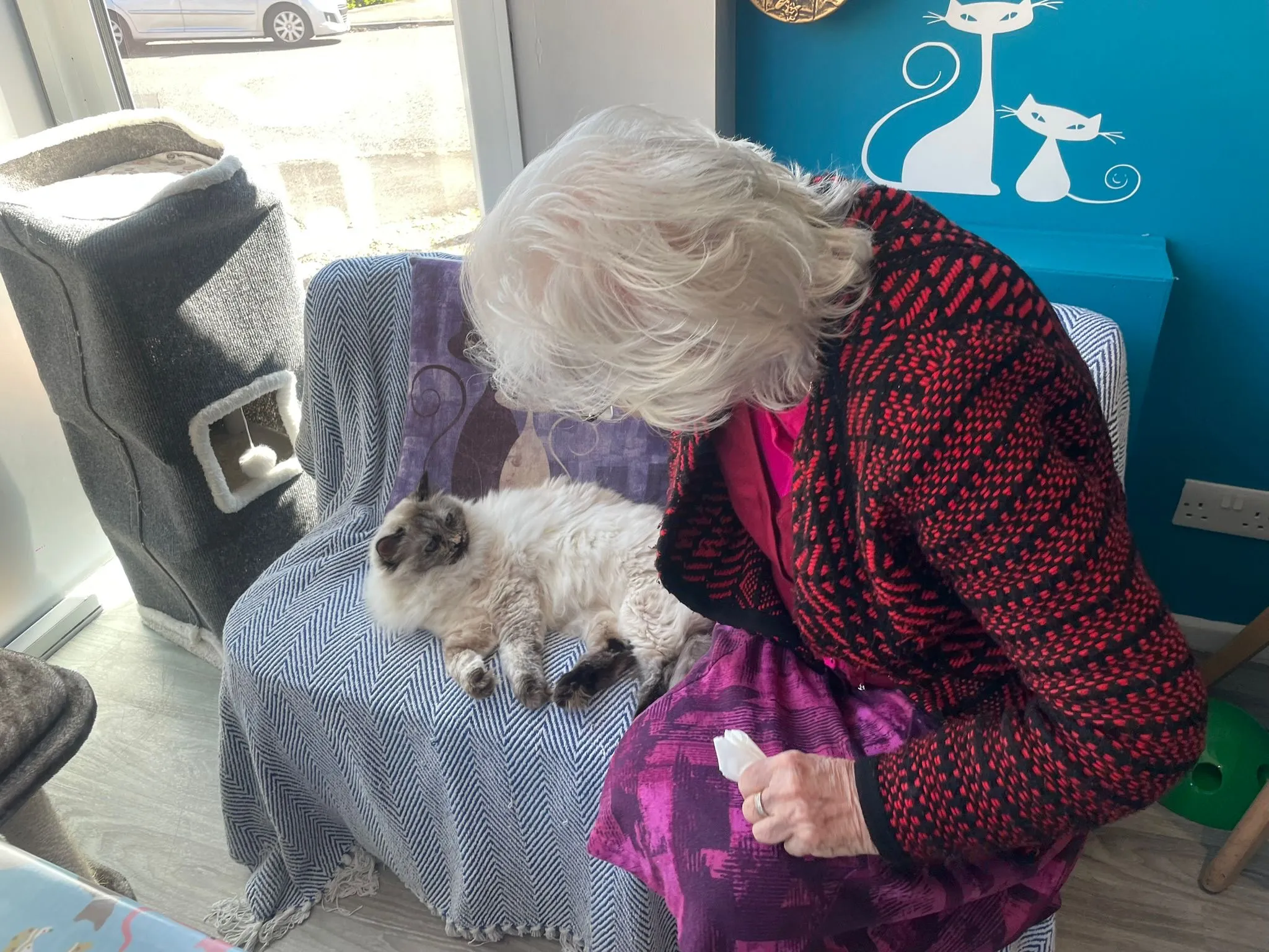 Cat Cafe Visit!
