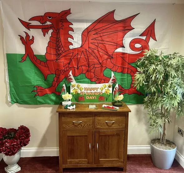 Happy St David's Day